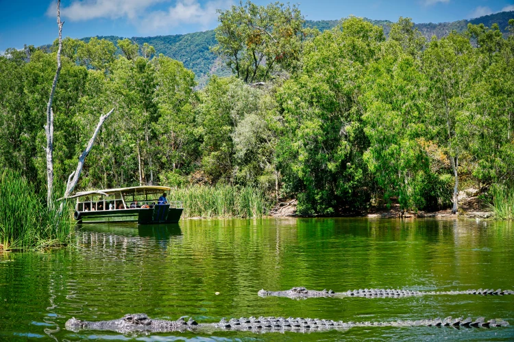 Hartley’s Crocodile Adventures