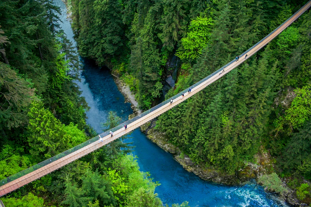 Grouse Mountain & Capilano Suspension Bridge