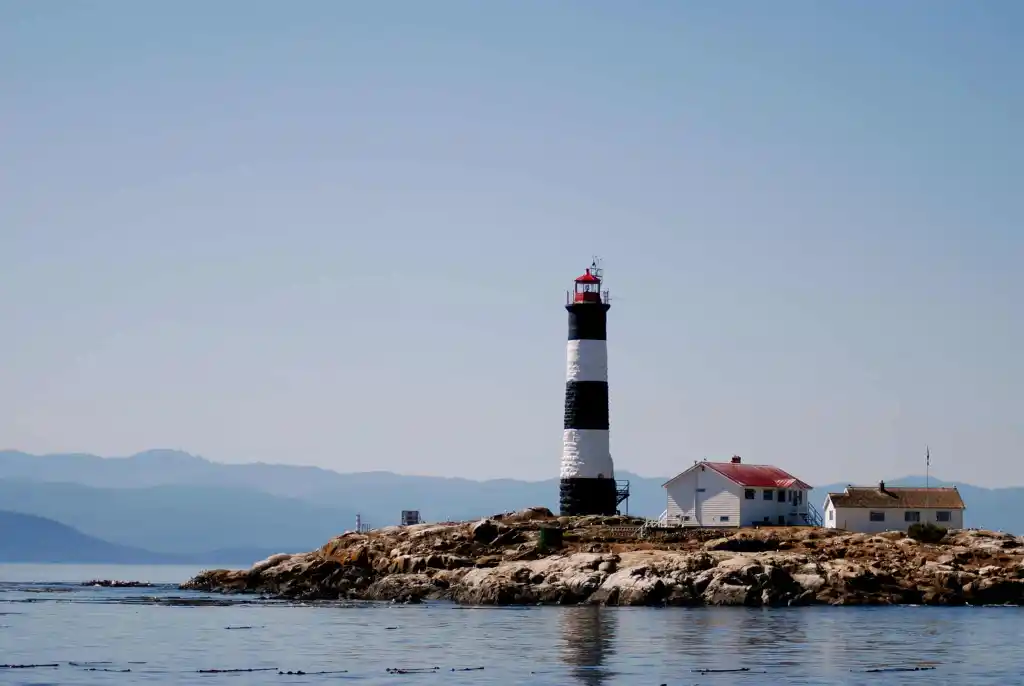 Whale Watching – Covered Boat