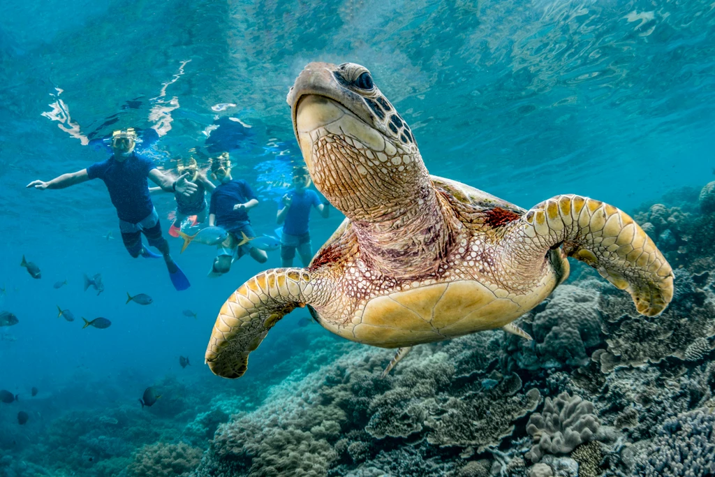 Scuba Diving