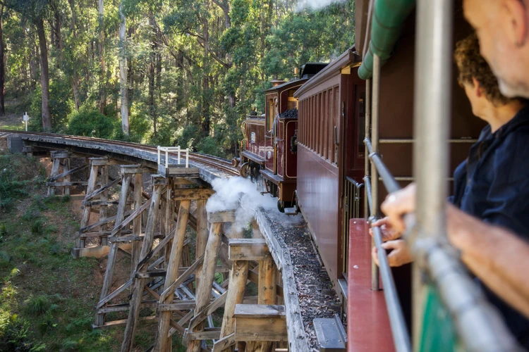 Puffing Billy Steam Train & Dandenong Ranges