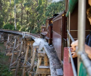 Puffing Billy Steam Train & Penguin Day Tour