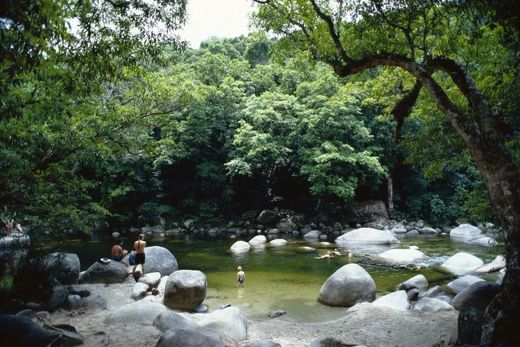 Daintree Rainforest and Cape Tribulation