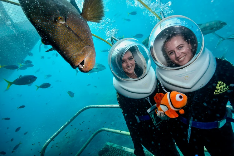 Seawalker Helmet Dive